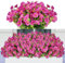 Elecoutek Flores Artificiales, 6 Paquetes Flores Artificiales de Trompeta, Plantas de Floración Simulada con Protección UV, para Interior y Exterior, Decoración del Hogar, Balcón Porche, Fucsia