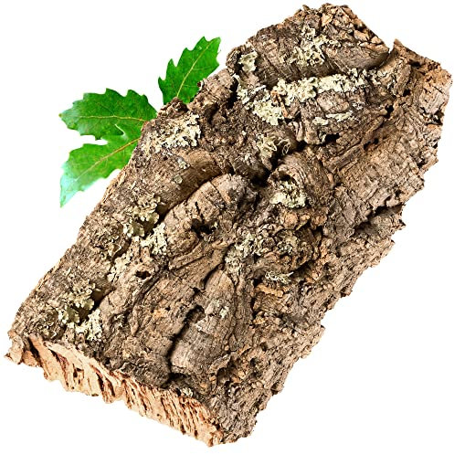 Korkrinde Korkstück, 30 x 15 cm (Naturkork, Zierkork) gereinigt & desinfiziert – ideal für Haustiere (Nager + Vögel) oder Basteln & Hobby (Modellbau), unbehandelte Rinde von der Korkeiche, flach
