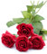 Derbway 4PCS Fiore di Seta di Rose Artificiali, Stelo Singolo Rosa Finta Tocco Reale Bouquet di Fiori per la Festa, Matrimonio, Casa, Arredamento Hotel (Rosso)