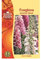 Simply Garden Foxglove Excelsior Mixed Seeds Grow Your Own Multicoloured Flowers
