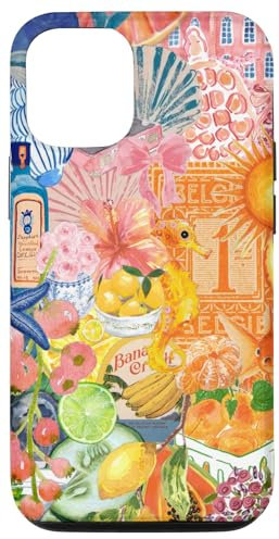 iPhone 12/12 Pro Cute Spring Coquette Collage Scrapbook Preppy Aesthetic Case