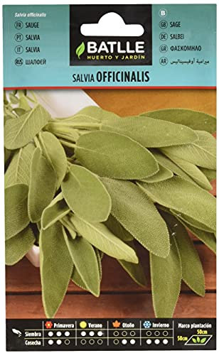 Semillas Batlle Salvia OFICINALIS