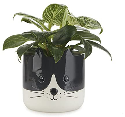 Balvi Maceta Kitty Color Negro y Blanco Original Maceta con diseño de Gatito Cerámica 13,7x13,5x13,5
