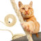 DQ-PP Corde en sisal | 30 m | 8 mm d'épaisseur | Corde en sisal naturel pour arbre à chat | Corde à gratter DIY pour chats Pièces de rechange