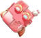 soobu Kawaii Botella de Agua Doble Ligera Portátil Kawaii Botella de Agua para Gimnasio con Pajita para Yoga Correa Ajustable (Rosa Coral 530ml)
