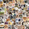 DIWSO 100 Pcs Cat Emoticons Stickers for Laptop, Snowboard, Suitcase, Scrapbook, Skateboard, Luggage, Graffiti, Teenager, Boy, Girl, Waterproof