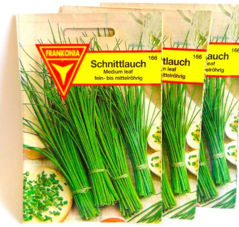 FRANKONIA Schnittlauch, Medium Leaf - Kräuter-Samen Gewürz Saatgut Schnittlauch-Samen (Allium schoenoprasum)