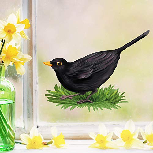 Wandtattoo Loft Fensterbilder Frühling Amsel Motiv – A4 Bogen, Wiederverwendbar – Frühlingsdeko Fenster Kinderzimmer, Frühlingsbild Fenster, Fensterdeko Frühling, Fensterfolie Frühling Selbstklebend