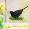 Wandtattoo Loft Fensterbilder Frühling Amsel Motiv – A4 Bogen, Wiederverwendbar – Frühlingsdeko Fenster Kinderzimmer, Frühlingsbild Fenster, Fensterdeko Frühling, Fensterfolie Frühling Selbstklebend