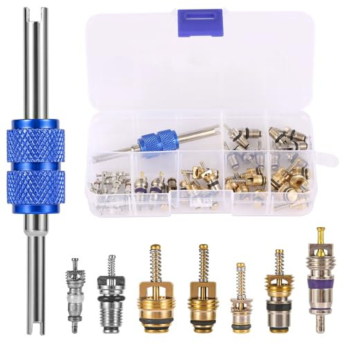 Kit de 40 Pièces de Noyau de Valve AC, Noyau de Valve de Climatiseur de Voiture avec Outil de Démontage à Double Tête Kit de Valve Schrader A/C R12 R134a pour la Plupart des Voitures