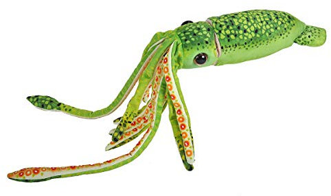 Wild Republic 23546 Wr Print, Tintenfisch Green