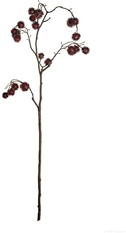 ASA Selection Fruchtzweig XL Rot Deko L 93 cm B 10 cm H 3 cm