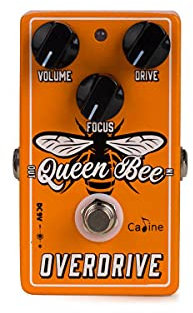 Caline CP-503 Queen Bee Overdrive - Overdrive Pedale
