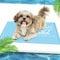 Pawtasy Kühlmatte Hunde Katzen Kühldecke für Hunde Kühlkissen mit Ungiftiges Gel für Klein Haustiere Hundekühlmatte Selbstkühlend Hund Kühl Kühlende Hundematte - M 65 x 50 cm
