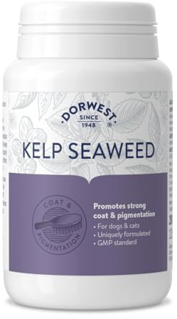 Dorwest Herbs Kelp Seaweed Tablets for Dogs and Cats 200 Tablets