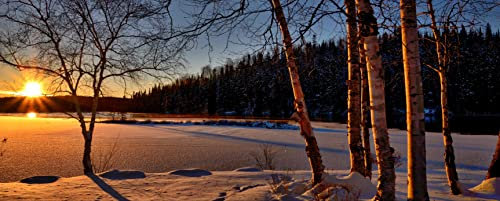 hansepuzzle 30794 - Schneelandschaft Panorama-Puzzle 2000 Teile | Natur Puzzle mit hochwertiger Puzzle Aufbewahrung: Kartonbox und Wieder verschließbarem Beutel | Puzzle-Maße: 116,6 x 46,7 cm