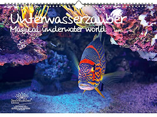 Unterwasserzauber DIN A3 - Immerwährender Kalender Unterwasser - Seelenzauber