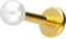 PIERCINGLINE Titan Labret mit Push Fit SYNTHETISCHE PERLE Piercing Ohr Helix Conch Tragus Goldfarben 1,2x6x3 mm