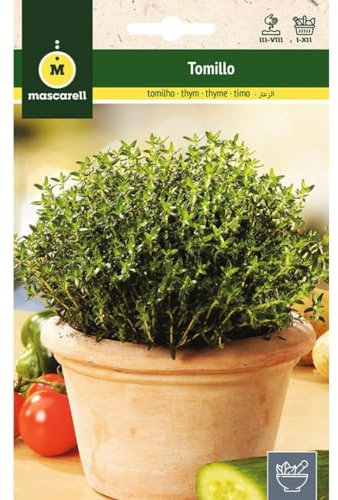 Mascarell Semillas, TOMILLO, Semillas de Hierbas Aromáticas para Plantar, Crea tu Propio Huerto en Casa. 0,5 Gramos