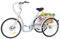 MINRS 26 Zoll Dreirad für Erwachsene Senioren Dreirad 6-Gang 3-Rad Fahrrad Dreirad Modernes Erwachsenen Dreirad mit Reflektierende Licht und Einkaufskorb Einstellbare Geschwindigkeit Höhe Weiß