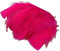 s m sas Environ 25 Plumes Coloris Rose Fuschia Deco fête Mariage Costume déguisement