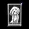 Photo personnalisée en cristal gravé 3D pour animal domestique (XL rectangulaire)