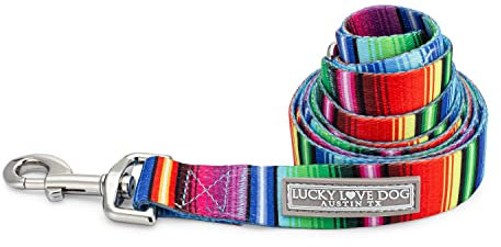 Lucky Love Dog Leash | Bunt gestreifte Hundeleine für kleine Hunde | langlebig und langlebig – (Nacho, klein)