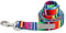 Lucky Love Dog Leash | Bunt gestreifte Hundeleine für kleine Hunde | langlebig und langlebig – (Nacho, klein)