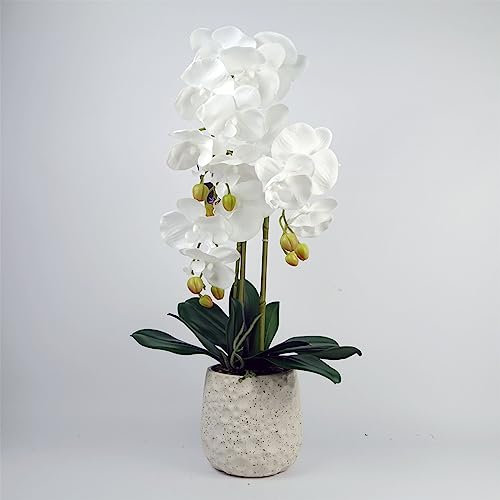 Leaf Design UK Realistic Artificial Orchid Flower Display in Pot, 60cm, 60cm White/Bubble Planter