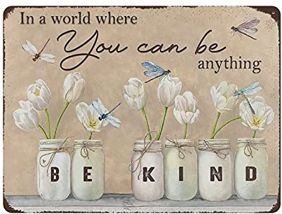 In einer Welt, in der du alles sein kannst, sei freundlich, Libelle und Blume, Einweihungsparty-Metallblechschild, Kunstwerk, Poster, Eisengemälde, Außenschild, Vintage-Plakette, Poster, Höhle, Gara