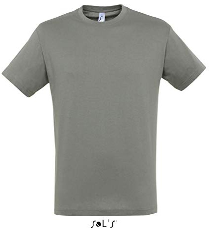 Sols - Regent - Unisex Rundhals T-Shirt , Zinc , XXL