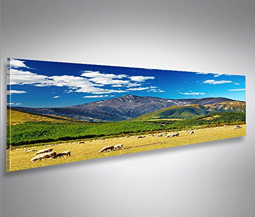 islandburner Bild Bilder auf Leinwand Neuseeland V2 Panorama XXL Poster Leinwandbild Wandbild Dekoartikel Wohnzimmer Marke