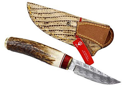 Muela Cuchillo de caza de lujo BW-6DAM con hoja de acero damasco inoxidable RWL34 y empuñadura de asta de ciervo para Caza, Pesca, Supervivencia y Bushcraft + Portabotellas de regalo
