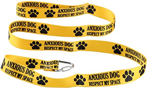 Funny Anxious Hundeleine – Respect My Space Walking Training Leash – Geschenk für Haustierliebhaber, Gelb
