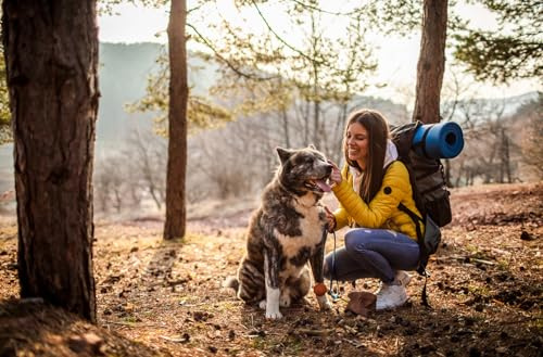 JOCHEN SCHWEIZER Geschenkgutschein: Urlaub mit Hund im Harz für 2 (2 Nächte)