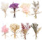 SURALIN Lot de 8 Petits Bouquets de Fleurs Séchées, Petite Taille, Petit Bouquet Fleurs Séchées, Mini Fleurs Séchées Adapté aux fêtes d'anniversaire Mariages