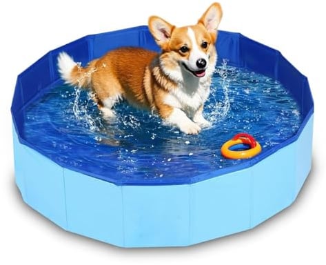 Hundepool Faltbar,50x8cm Faltbarer Pool,Planschbecken für Haustiere,Faltbare Katzenpool,Robustes Planschbecken Pool,Swimmingpool Hundebadewanne Faltbarer für Hunde und Katzen
