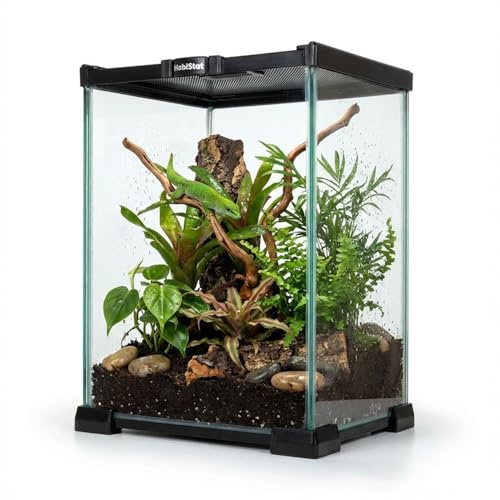 Habistat,Mini-Glas-Terrarium,vormontiert,20x20x30 cm (8x8x12),hochwertiges Glasgehäuse,wasserdichter Boden,perfekt für bioaktive Einrichtungen,geeignet für Reptilien, Amphibien & Inverter