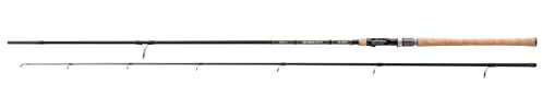 Balzer Spinnrute Diabolo Fury Spin 70 2,40m