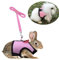Hypeety Bunny Kätzchen-Geschirr, kein Ziehen, Katzenleine, stilvolles Westengeschirr für Kleintiere, verstellbar, weich, atmungsaktiv, Walking-Geschirr-Set (Rosa, S)