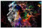 decomonkey - Impression sur Toile Intissé Lion Abstrait 60x40 1 Pièce - Tableau Décoration Appartement Cadre en Bois Photo Déco Salon Peinture sur Toile Maison Afrique chats colorés lions animaux