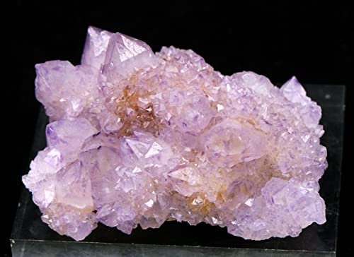 FYUTUR Natürlicher Kristall rau 148 g natürliches Amethyst-Quarz/Kaktus-Ausstellungsstück