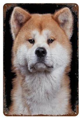 Akita Inu,Metall-Blechschild, Vintage-Stil, Eisenmalerei für Zuhause, Schlafzimmer, Café, Küche, Poster, Kaffee, Bar, Pub, Zuhause, Bierdekoration, Basteln-20 x 30 cm (8 x 12 Zoll) D-57