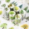 Set di adesivi per scrapbooking, 6 rolls Bullet Journal Accessori Stickers, Forest Themed PET Washi Tape Aesthetic Stickers Decorative for Journal Accessori,Photo Album,Notebook,DIY Crafts (Forest
