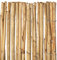 Videx-Sichtschutzmatte Schilfrohr Föhr, 100 x 600cm