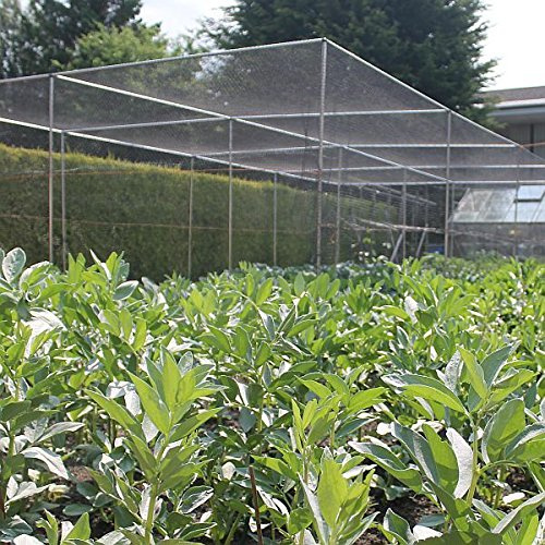 Walk in Fruit or Vegetable Cage Kit Includes Door H2 x W2 x L2 Black Bird Netting, Pegs and Clips