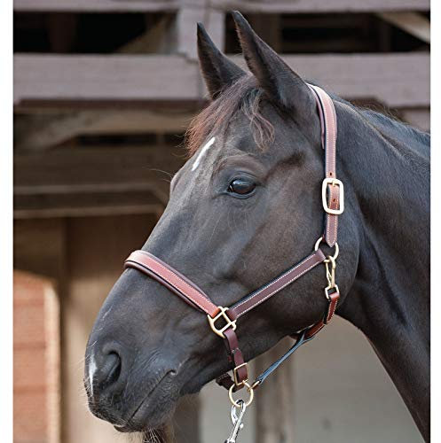 CATAGO Lederhalfter - braun - Pony