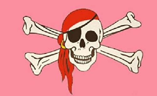 U24 Drapeau pirate rose 90 x 150 cm