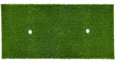 Porch Potty Premium Replacement Grass - Artificial Grass for Dogs with Sprinkler Holes - Dog Grass Pee Pad - Synthetic Grass with Drainage Holes - Dog Training Pads - Grass Area (4ft x 2ft)