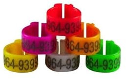 Eurital Telefon-Clipringe/Clipringe/Ringe für Tauben (50 bis 500 Stück frei wählbar) (50, Orange)